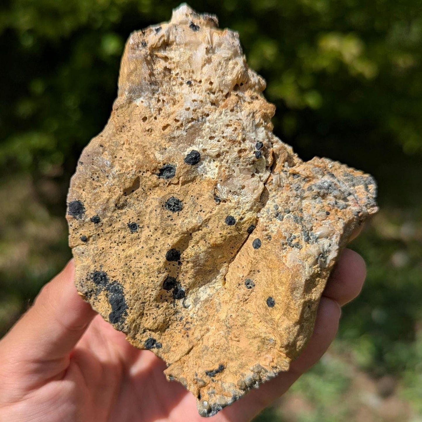 520g Orange Barite on Galena Matrix - Mibladen, Morocco - Natural Mineral Specimens - Raw Barite Blades on Matrix - Rough Minerals