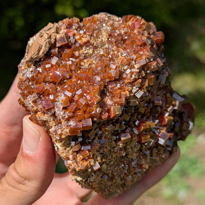 593g Crystallized Vanadinite on Matrix - Mibladen, Morocco - Handpicked at Mine - Natural Sparkling Red Vanadinite Mineral Specimen