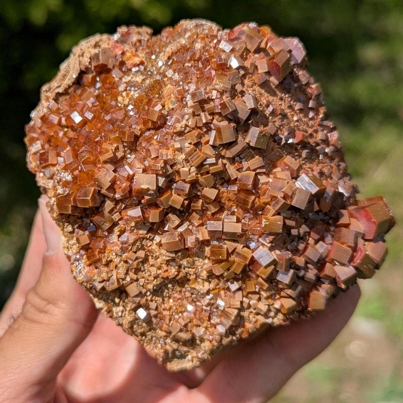 593g Crystallized Vanadinite on Matrix - Mibladen, Morocco - Handpicked at Mine - Natural Sparkling Red Vanadinite Mineral Specimen