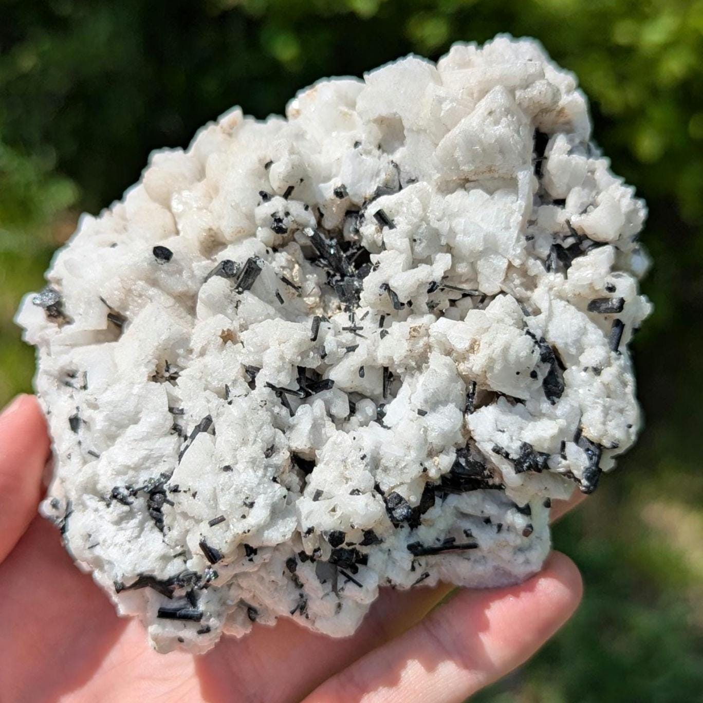 480 g Black Tourmaline Crystals in Calcite - Skardu, Pakistan - Natural Mineral Specimen - Calcite covered with Black Tourmaline