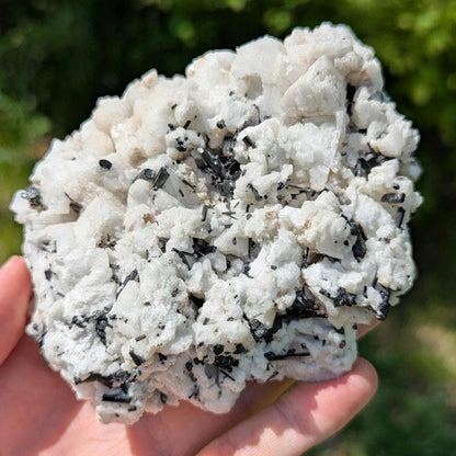 480 g Black Tourmaline Crystals in Calcite - Skardu, Pakistan - Natural Mineral Specimen - Calcite covered with Black Tourmaline