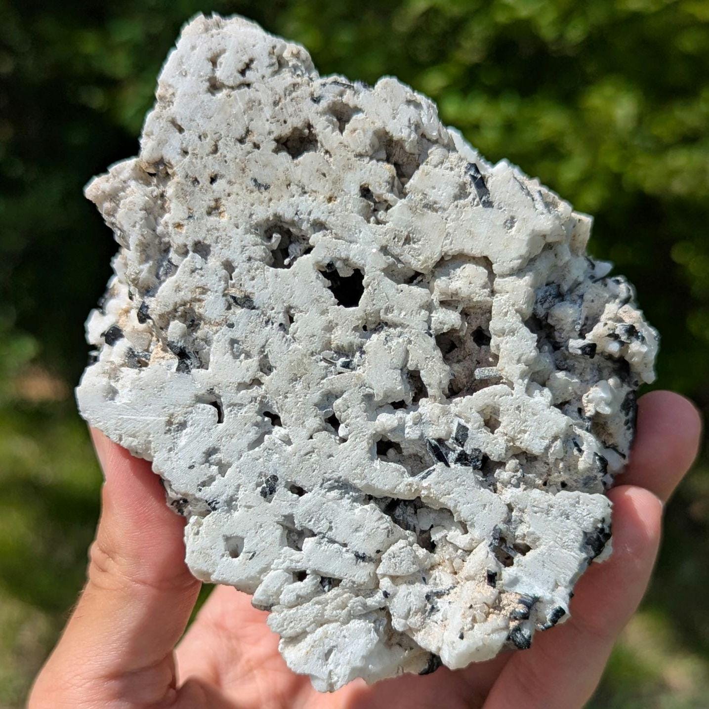 480 g Black Tourmaline Crystals in Calcite - Skardu, Pakistan - Natural Mineral Specimen - Calcite covered with Black Tourmaline