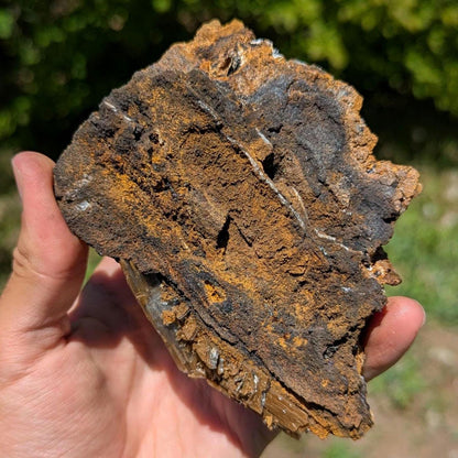 347 g Blue Barite with Brown Barite Matrix Specimen - Nador, Morocco - Barite Mineral Specimen - Blue Baryte from Morocco - Natural Crystal