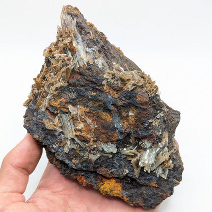487 g Blue Barite with Brown Barite Matrix Specimen - Nador, Morocco - Barite Mineral Specimen - Blue Baryte from Morocco - Natural Crystal