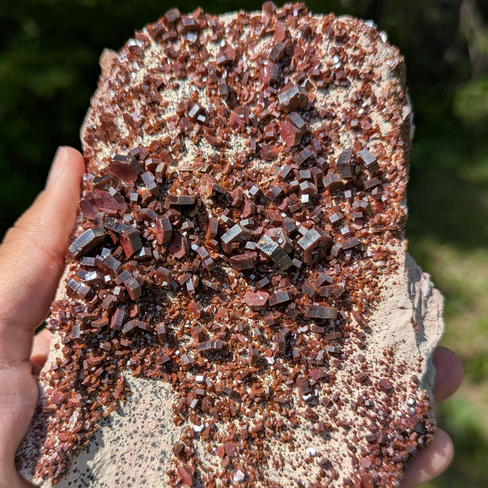 782 g Crystallized Vanadinite on Matrix - Mibladen, Morocco - Handpicked at Mine - Natural Sparkling Red Vanadinite Mineral Specimen