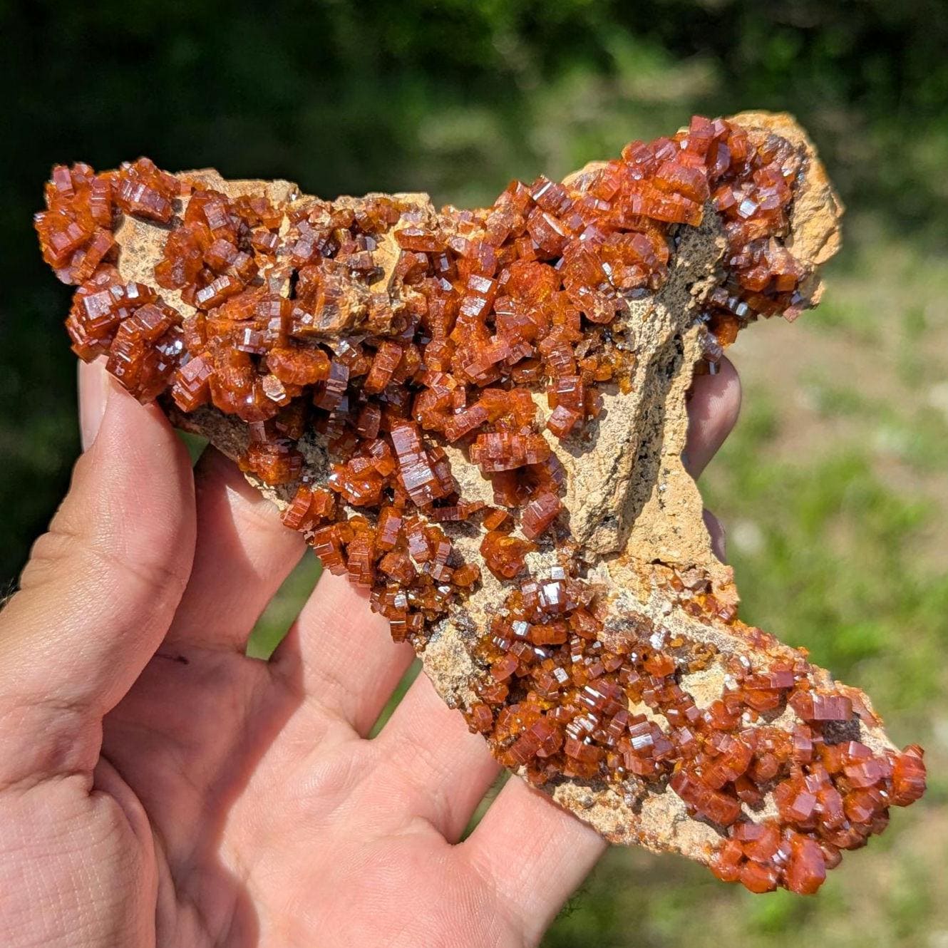 370 g Crystallized Vanadinite Crystals - Fine Mineral Specimen - Mibladen, Morocco - Handpicked at Mine - Natural Sparkling Red Vanadinite