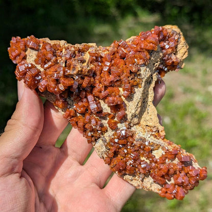 370 g Crystallized Vanadinite Crystals - Fine Mineral Specimen - Mibladen, Morocco - Handpicked at Mine - Natural Sparkling Red Vanadinite