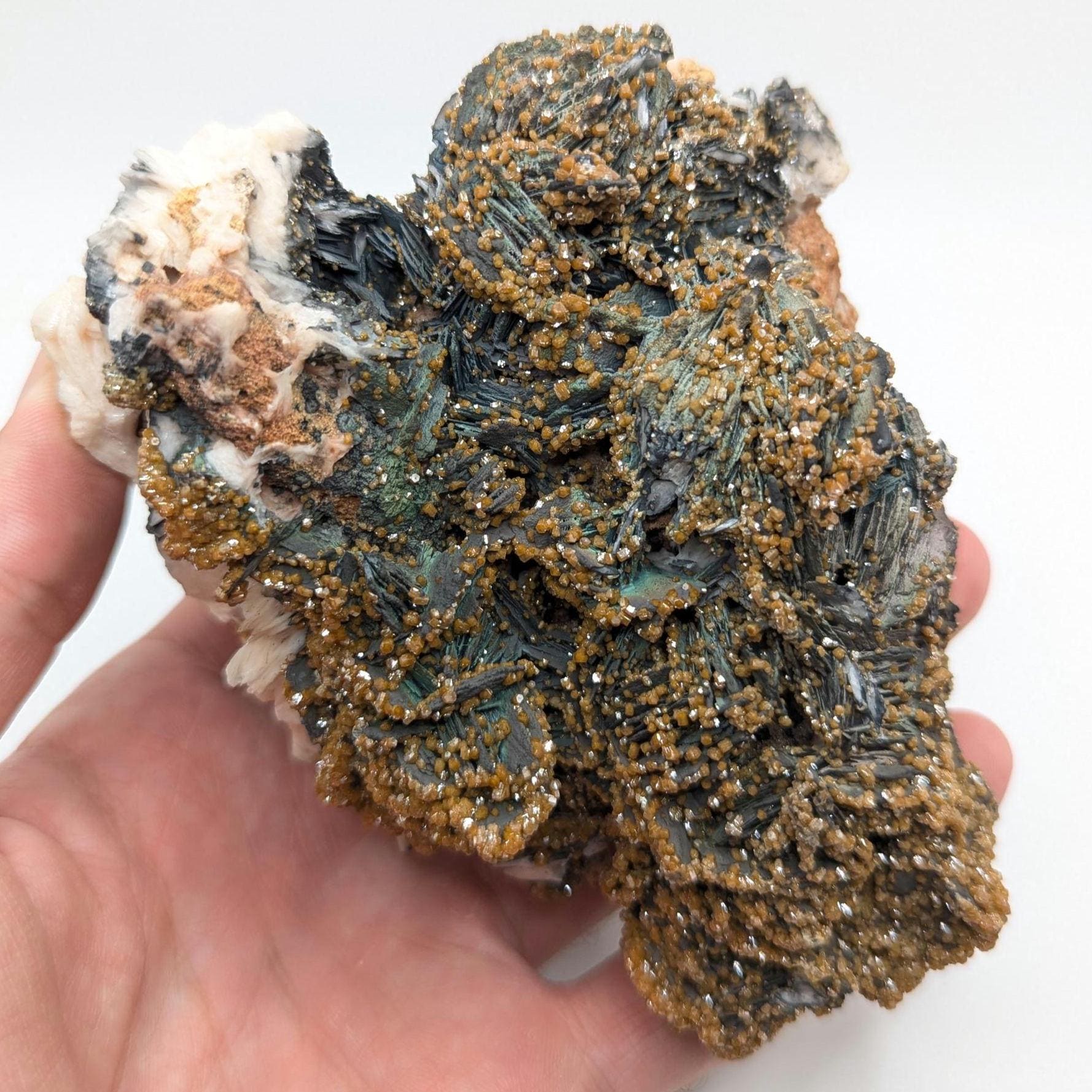 634 g Vanadinite on Black and White Barite - Mibladen, Morocco - Handpicked at Mine - Natural Sparkling Red Vanadinite Mineral Specimen
