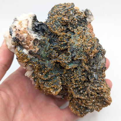 634 g Vanadinite on Black and White Barite - Mibladen, Morocco - Handpicked at Mine - Natural Sparkling Red Vanadinite Mineral Specimen