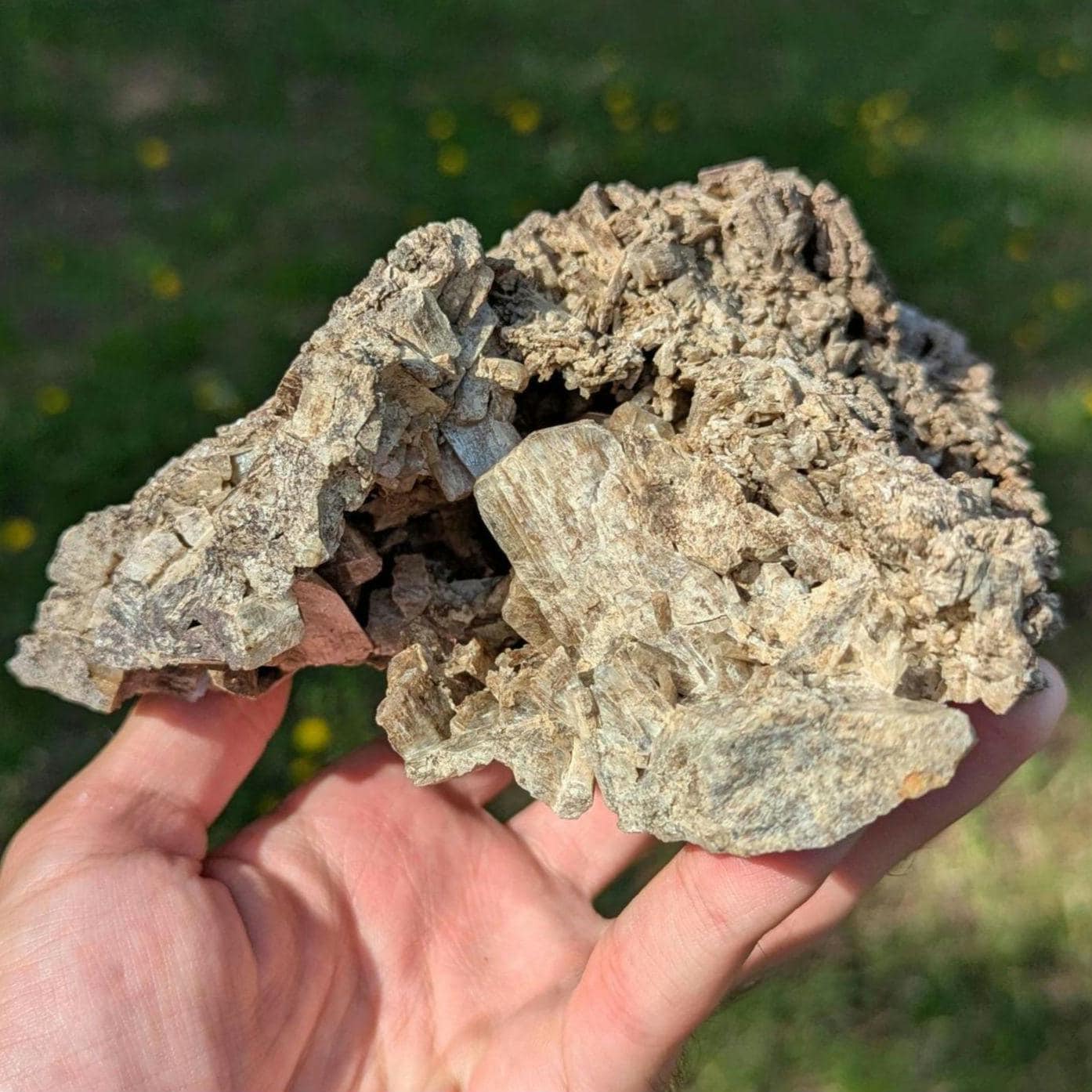 915g Brown Tremolite Mineral Specimen - Cardiff, Ontario, Canada - Natural Tremolite Specimen - Large Crystals - Canadian Minerals