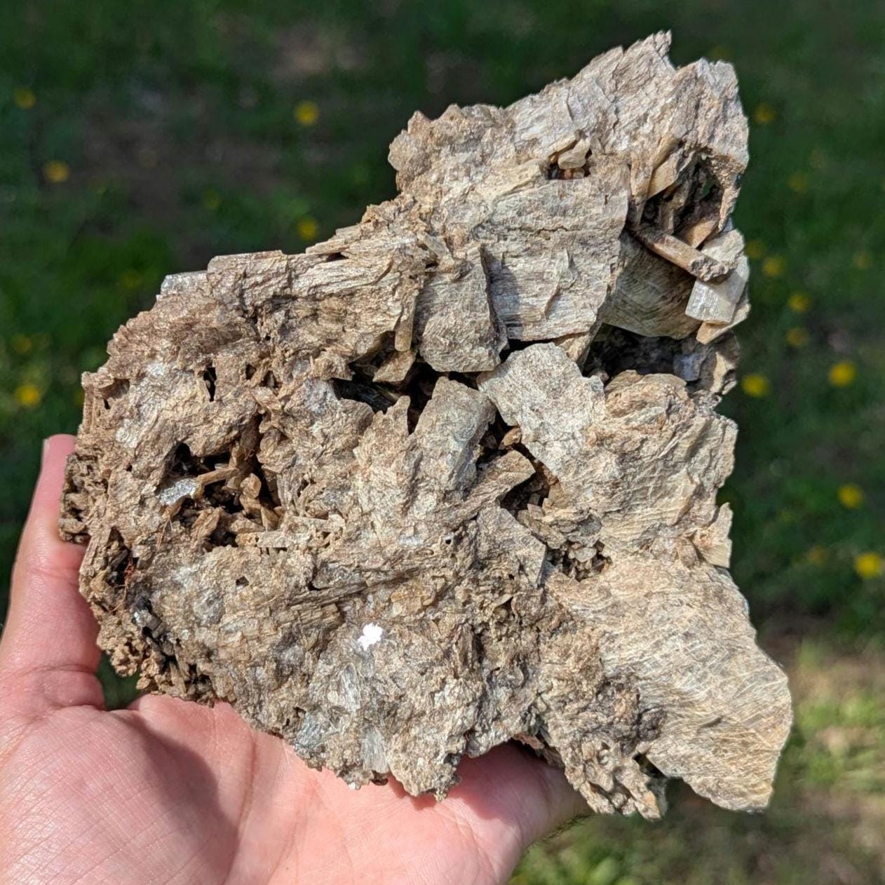 915g Brown Tremolite Mineral Specimen - Cardiff, Ontario, Canada - Natural Tremolite Specimen - Large Crystals - Canadian Minerals