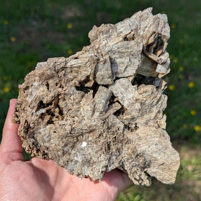 915g Brown Tremolite Mineral Specimen - Cardiff, Ontario, Canada - Natural Tremolite Specimen - Large Crystals - Canadian Minerals