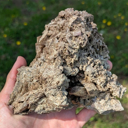 915g Brown Tremolite Mineral Specimen - Cardiff, Ontario, Canada - Natural Tremolite Specimen - Large Crystals - Canadian Minerals