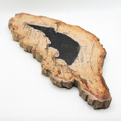 Petrified Wood Slab - Banten, West Java, Indonesia - "Rat" Animal Silhouette Black and Tan Fossil Specimen - Fossil Art