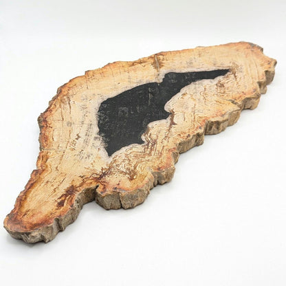 Petrified Wood Slab - Banten, West Java, Indonesia - "Rat" Animal Silhouette Black and Tan Fossil Specimen - Fossil Art
