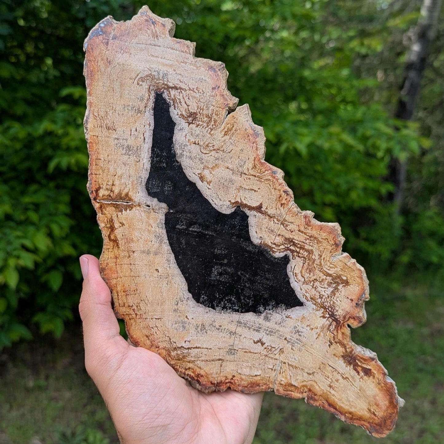 Petrified Wood Slab - Banten, West Java, Indonesia - "Rat" Animal Silhouette Black and Tan Fossil Specimen - Fossil Art