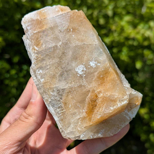 441g Golden Yellow Calcite - Honey Calcite Crystal from Chihuahua, Mexico - Natural Yellow Calcite - Crystal Specimen for Home Decor