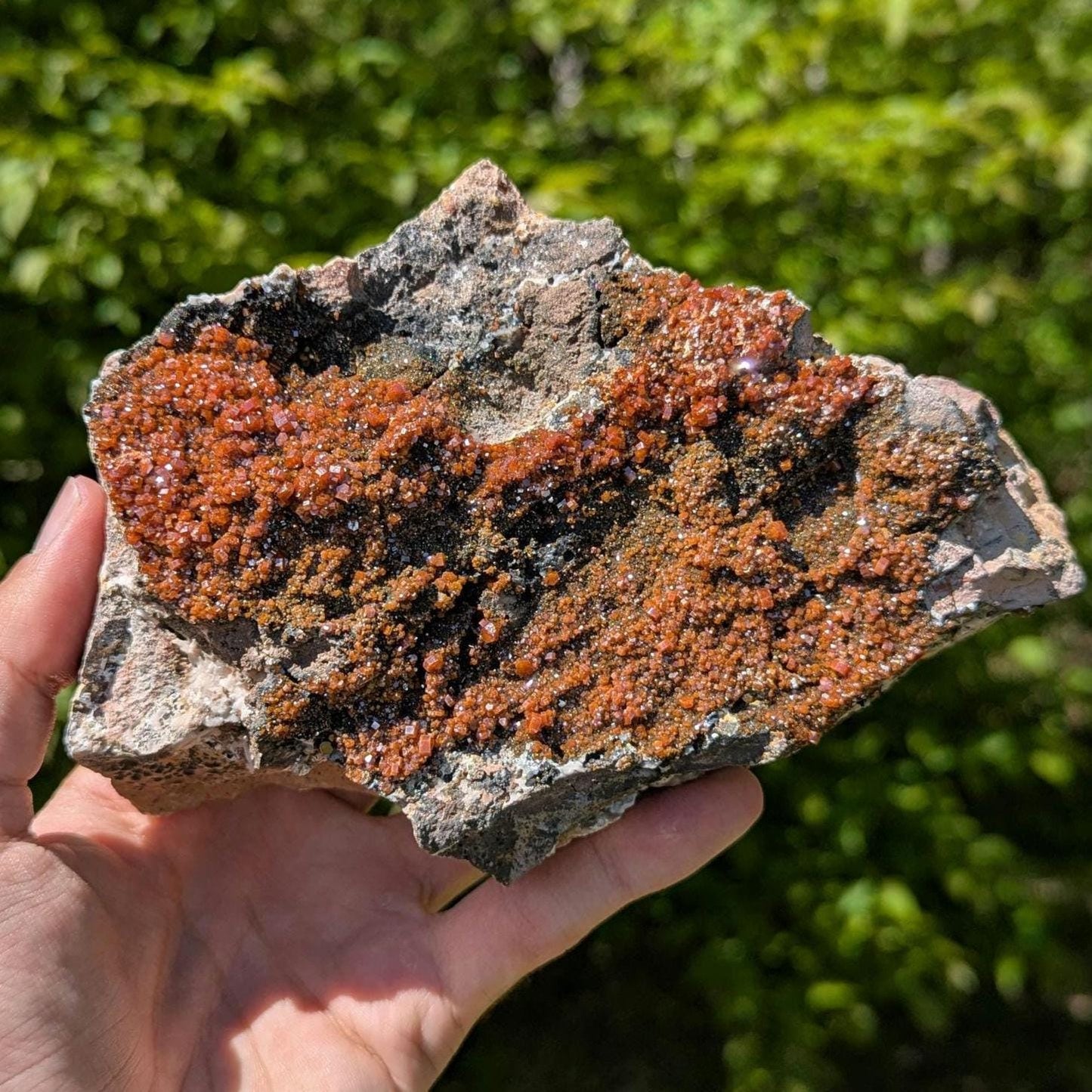 1.20 kg XL Vanadinite on Matrix - Mibladen, Morocco - Handpicked at Mine - Natural Vanadinite Specimen - Sparkling Red Vanadinite Mineral