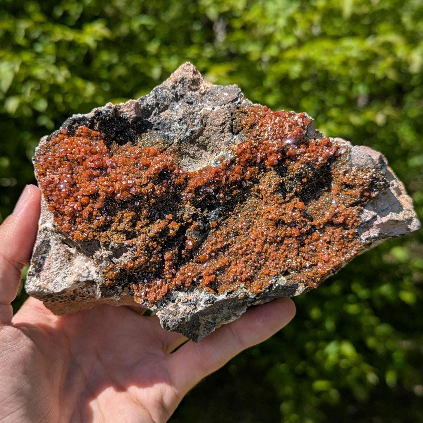 1.20 kg XL Vanadinite on Matrix - Mibladen, Morocco - Handpicked at Mine - Natural Vanadinite Specimen - Sparkling Red Vanadinite Mineral
