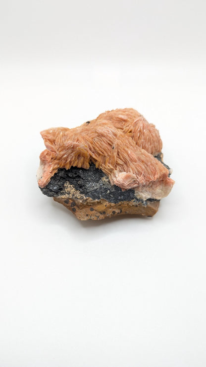 596g Orange Barite on Galena Matrix - Mibladen, Morocco - Natural Mineral Specimens - Raw Barite Blades on Matrix - Rough Minerals