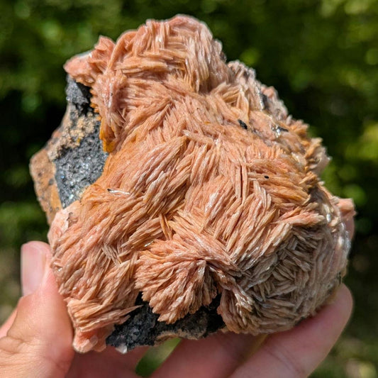 596g Orange Barite on Galena Matrix - Mibladen, Morocco - Natural Mineral Specimens - Raw Barite Blades on Matrix - Rough Minerals