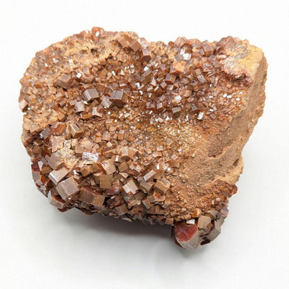 593g Crystallized Vanadinite on Matrix - Mibladen, Morocco - Handpicked at Mine - Natural Sparkling Red Vanadinite Mineral Specimen