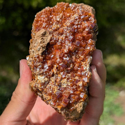 593g Crystallized Vanadinite on Matrix - Mibladen, Morocco - Handpicked at Mine - Natural Sparkling Red Vanadinite Mineral Specimen