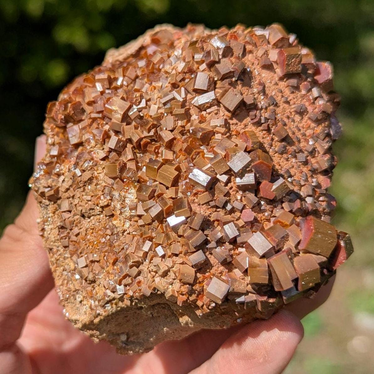 593g Crystallized Vanadinite on Matrix - Mibladen, Morocco - Handpicked at Mine - Natural Sparkling Red Vanadinite Mineral Specimen