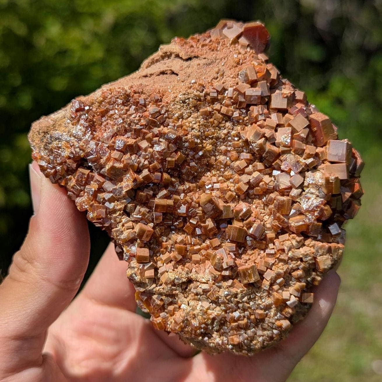 593g Crystallized Vanadinite on Matrix - Mibladen, Morocco - Handpicked at Mine - Natural Sparkling Red Vanadinite Mineral Specimen