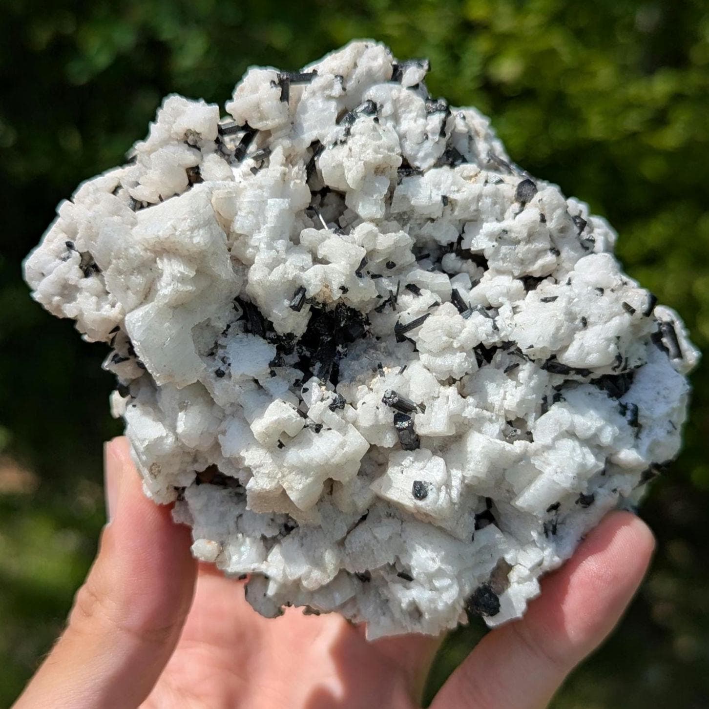 480 g Black Tourmaline Crystals in Calcite - Skardu, Pakistan - Natural Mineral Specimen - Calcite covered with Black Tourmaline
