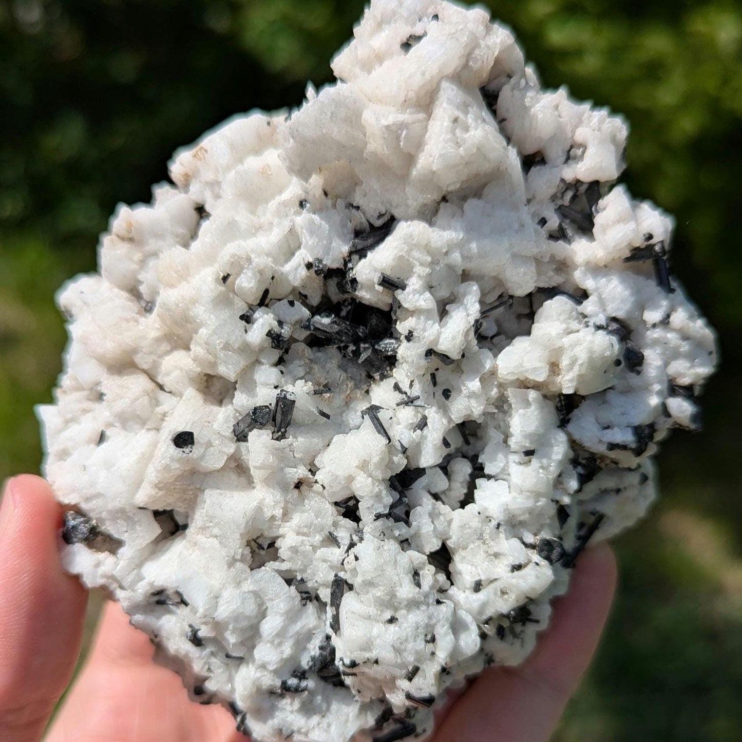 480 g Black Tourmaline Crystals in Calcite - Skardu, Pakistan - Natural Mineral Specimen - Calcite covered with Black Tourmaline