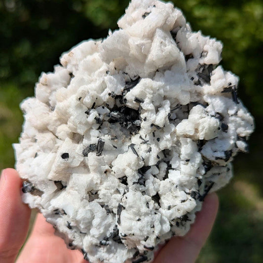 480 g Black Tourmaline Crystals in Calcite - Skardu, Pakistan - Natural Mineral Specimen - Calcite covered with Black Tourmaline