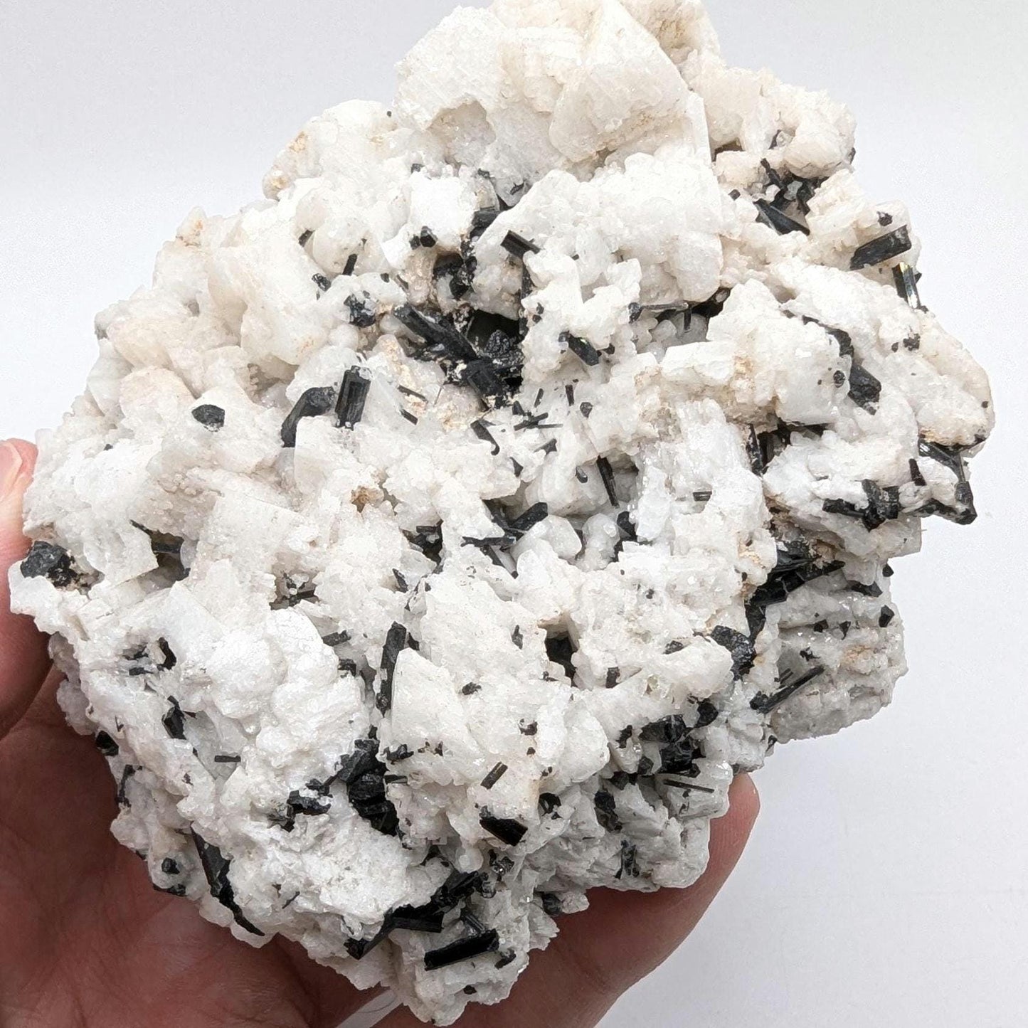 480 g Black Tourmaline Crystals in Calcite - Skardu, Pakistan - Natural Mineral Specimen - Calcite covered with Black Tourmaline