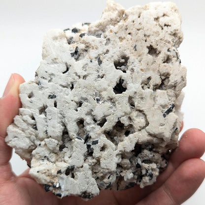 480 g Black Tourmaline Crystals in Calcite - Skardu, Pakistan - Natural Mineral Specimen - Calcite covered with Black Tourmaline