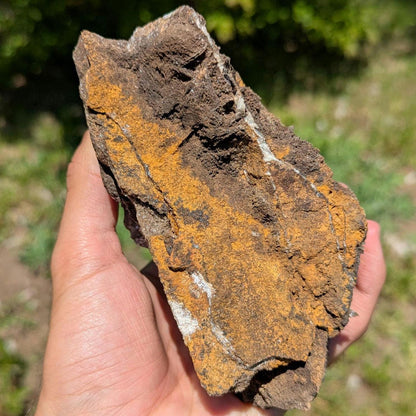865 g Blue Barite on White Barite Matrix Specimen - Nador, Morocco - Barite Mineral Specimen - Blue Baryte from Morocco - Natural Crystal