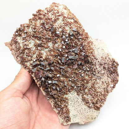 782 g Crystallized Vanadinite on Matrix - Mibladen, Morocco - Handpicked at Mine - Natural Sparkling Red Vanadinite Mineral Specimen
