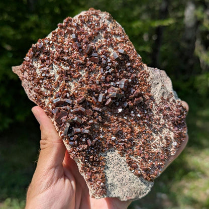 782 g Crystallized Vanadinite on Matrix - Mibladen, Morocco - Handpicked at Mine - Natural Sparkling Red Vanadinite Mineral Specimen