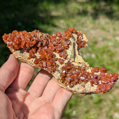 370 g Crystallized Vanadinite Crystals - Fine Mineral Specimen - Mibladen, Morocco - Handpicked at Mine - Natural Sparkling Red Vanadinite