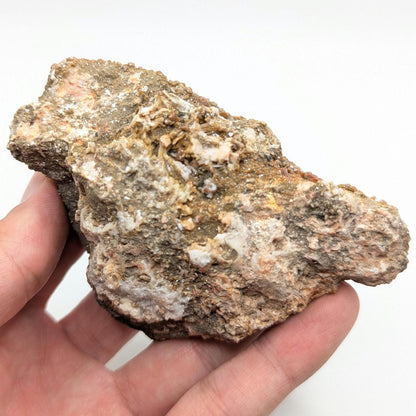 274 g Vanadinite on Matrix - Mibladen, Morocco - Handpicked at Mine - Natural Sparkling Red Vanadinite Mineral Specimen