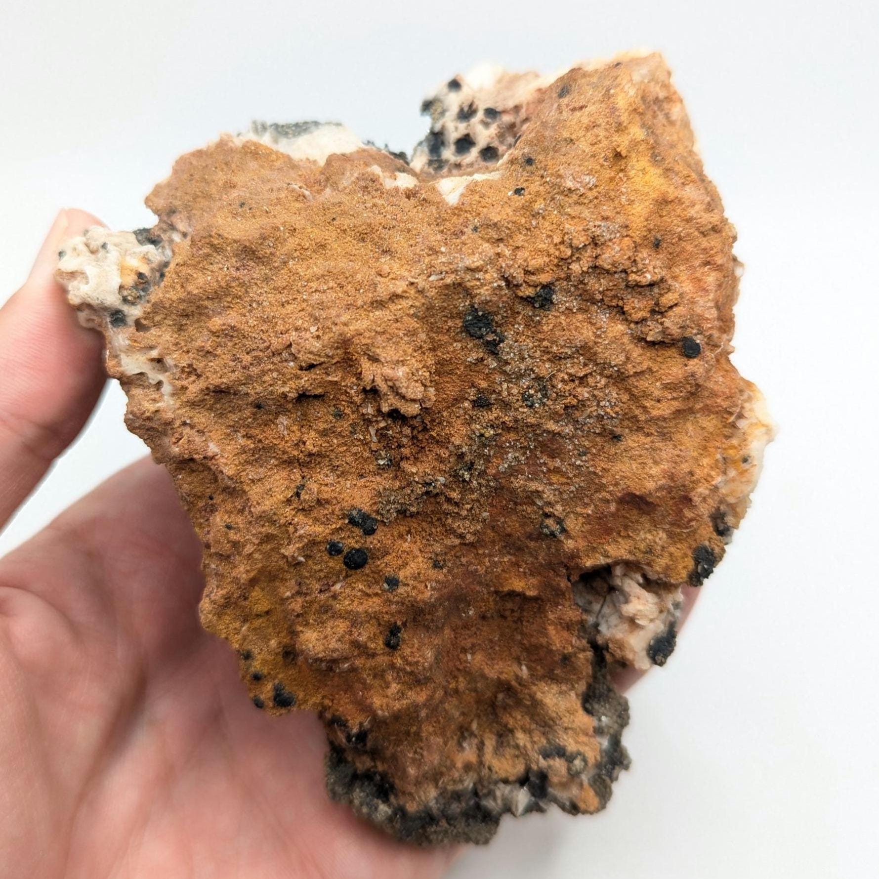 634 g Vanadinite on Black and White Barite - Mibladen, Morocco - Handpicked at Mine - Natural Sparkling Red Vanadinite Mineral Specimen