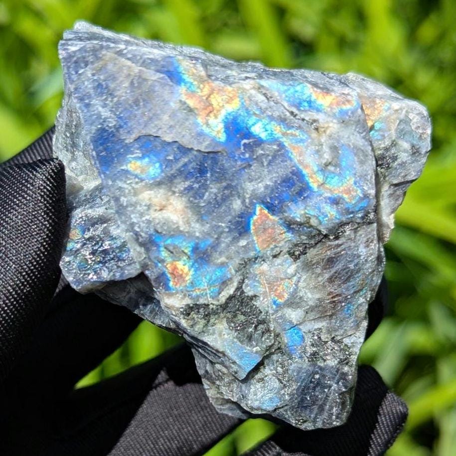 262g Blue Flash Canadian Labradorite - Tabor Island, Nain, Labrador, Canada - Rough Specimen - The Original Labradorite