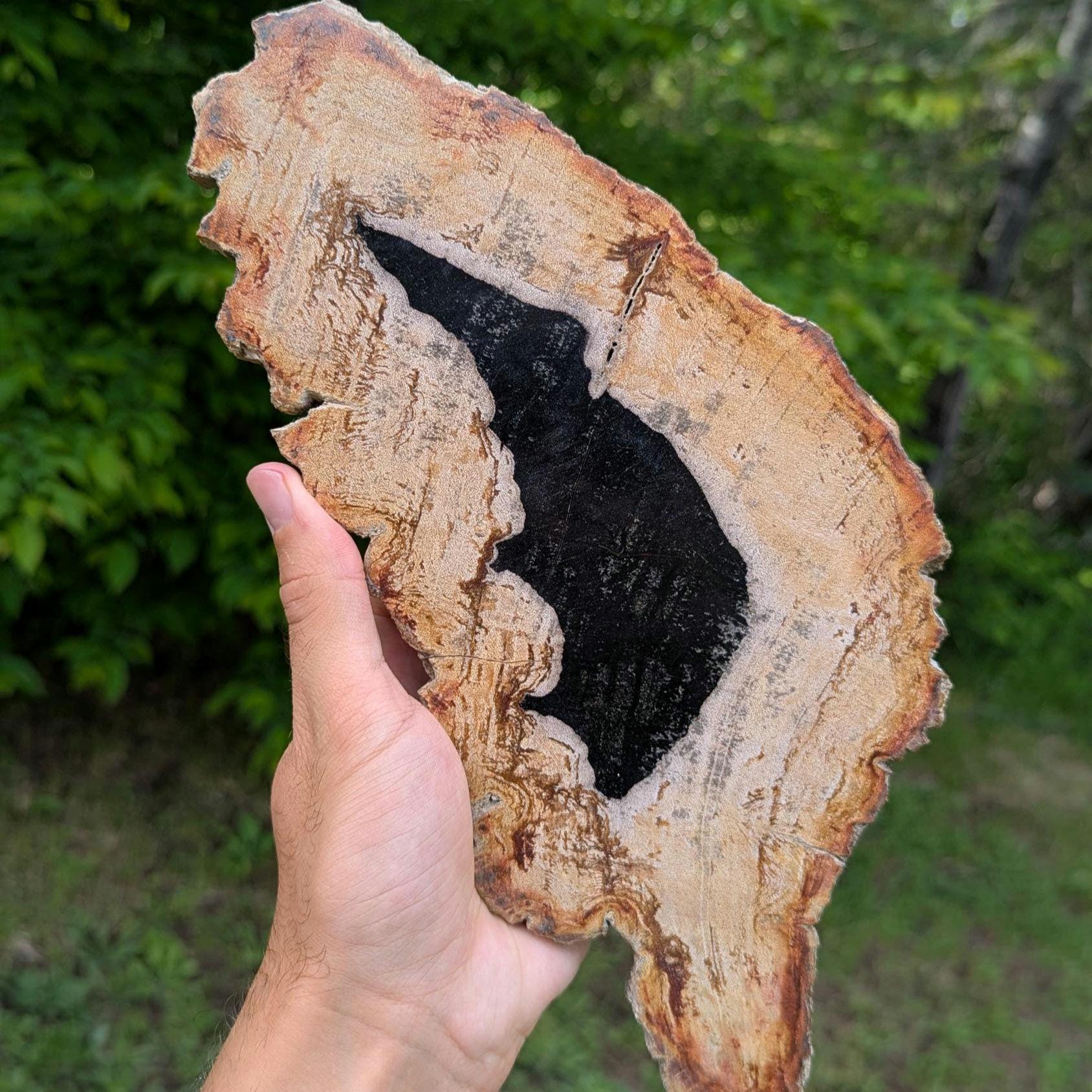 Petrified Wood Slab - Banten, West Java, Indonesia - "Rat" Animal Silhouette Black and Tan Fossil Specimen - Fossil Art