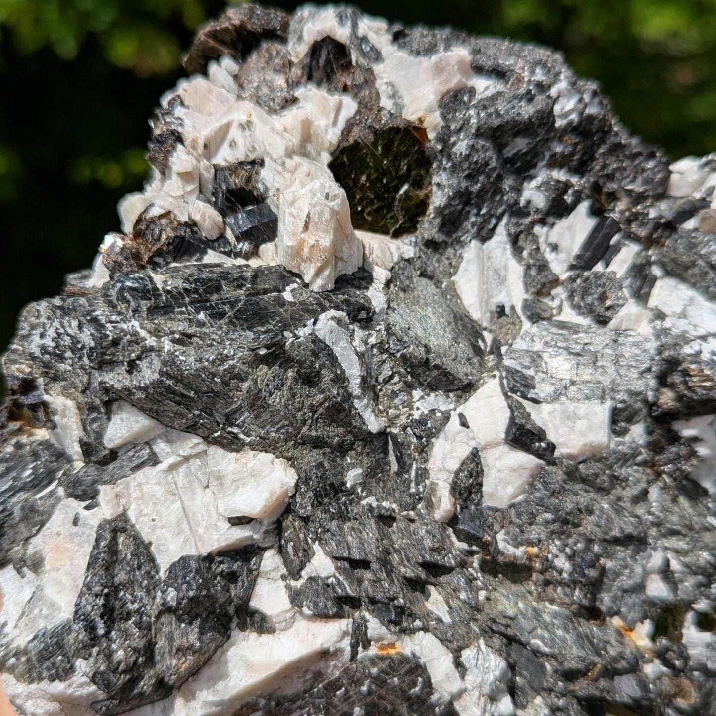 2.43kg Fluororichterite & Calcite - George Earle Farm, Wilberforce, Ontario - Rare Canadian Amphibole Mineral Specimen