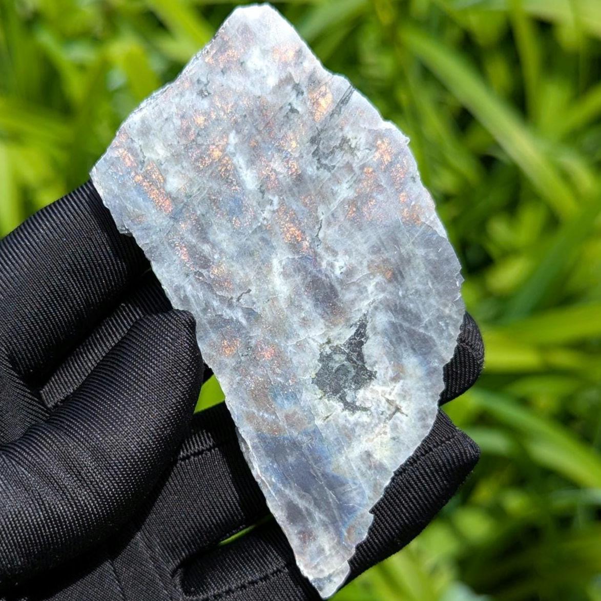 60g Blue Flash Canadian Labradorite Slab - Tabor Island, Nain, Labrador, Canada - Rough Labradorite Slice - The Original Labradorite