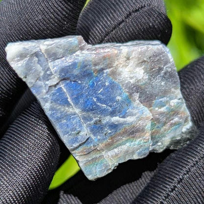 36g Blue Flash Canadian Labradorite - Tabor Island, Nain, Labrador, Canada - Rough Specimen - The Original Labradorite