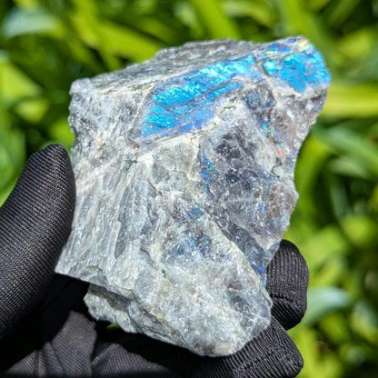 181g Blue Flash Canadian Labradorite - Tabor Island, Nain, Labrador, Canada - Rough Specimen - The Original Labradorite