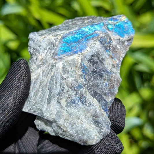 181g Blue Flash Canadian Labradorite - Tabor Island, Nain, Labrador, Canada - Rough Specimen - The Original Labradorite