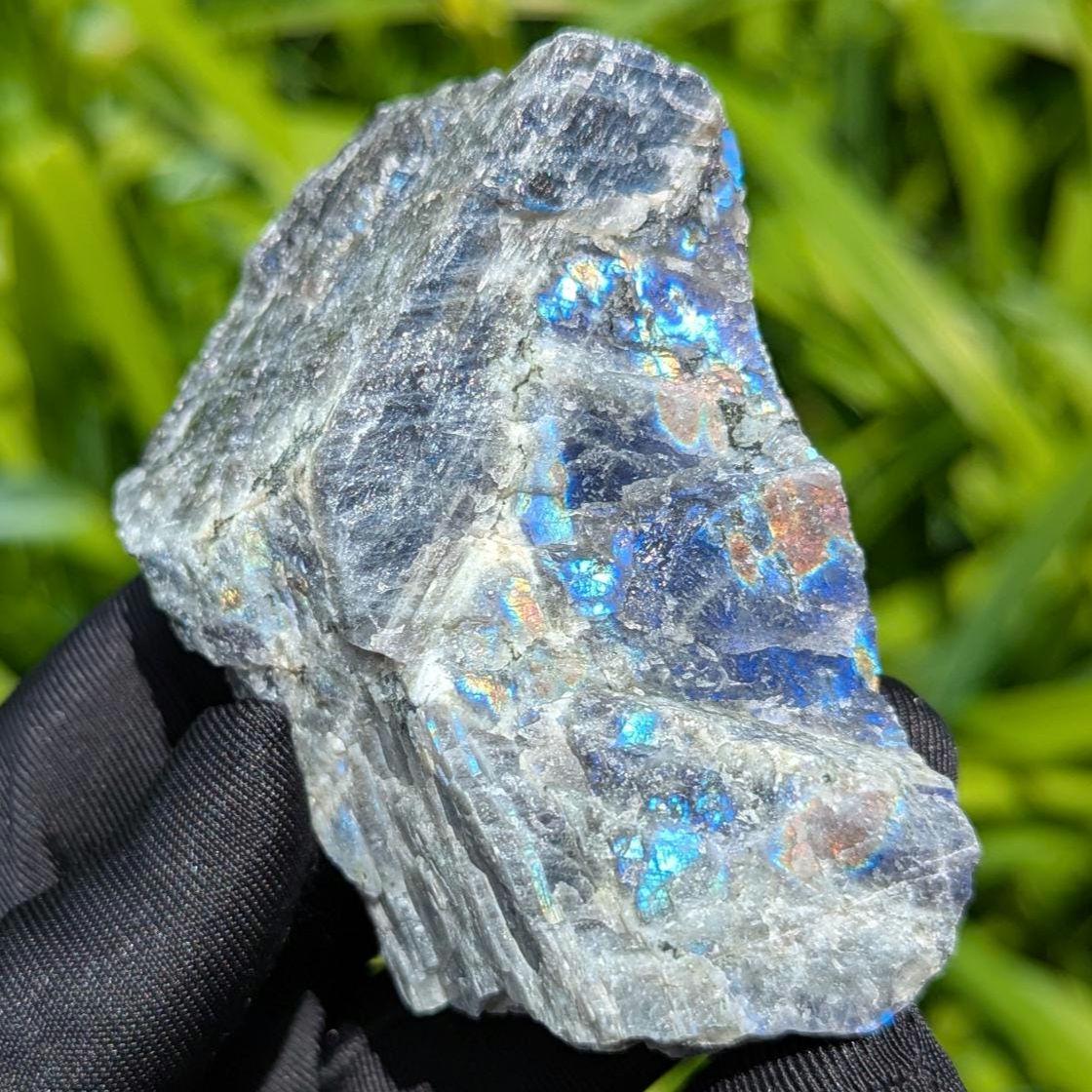 181g Blue Flash Canadian Labradorite - Tabor Island, Nain, Labrador, Canada - Rough Specimen - The Original Labradorite