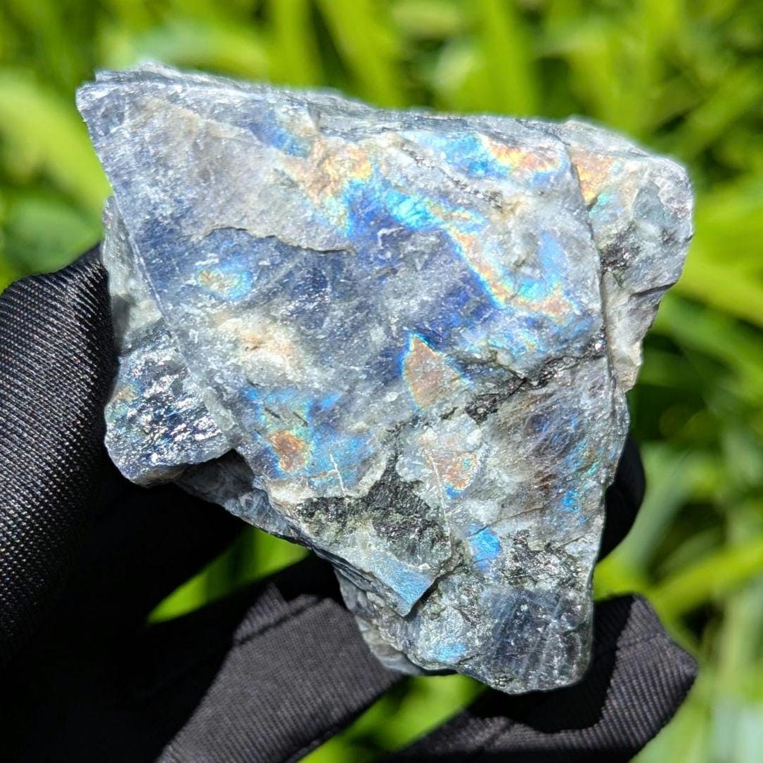 262g Blue Flash Canadian Labradorite - Tabor Island, Nain, Labrador, Canada - Rough Specimen - The Original Labradorite