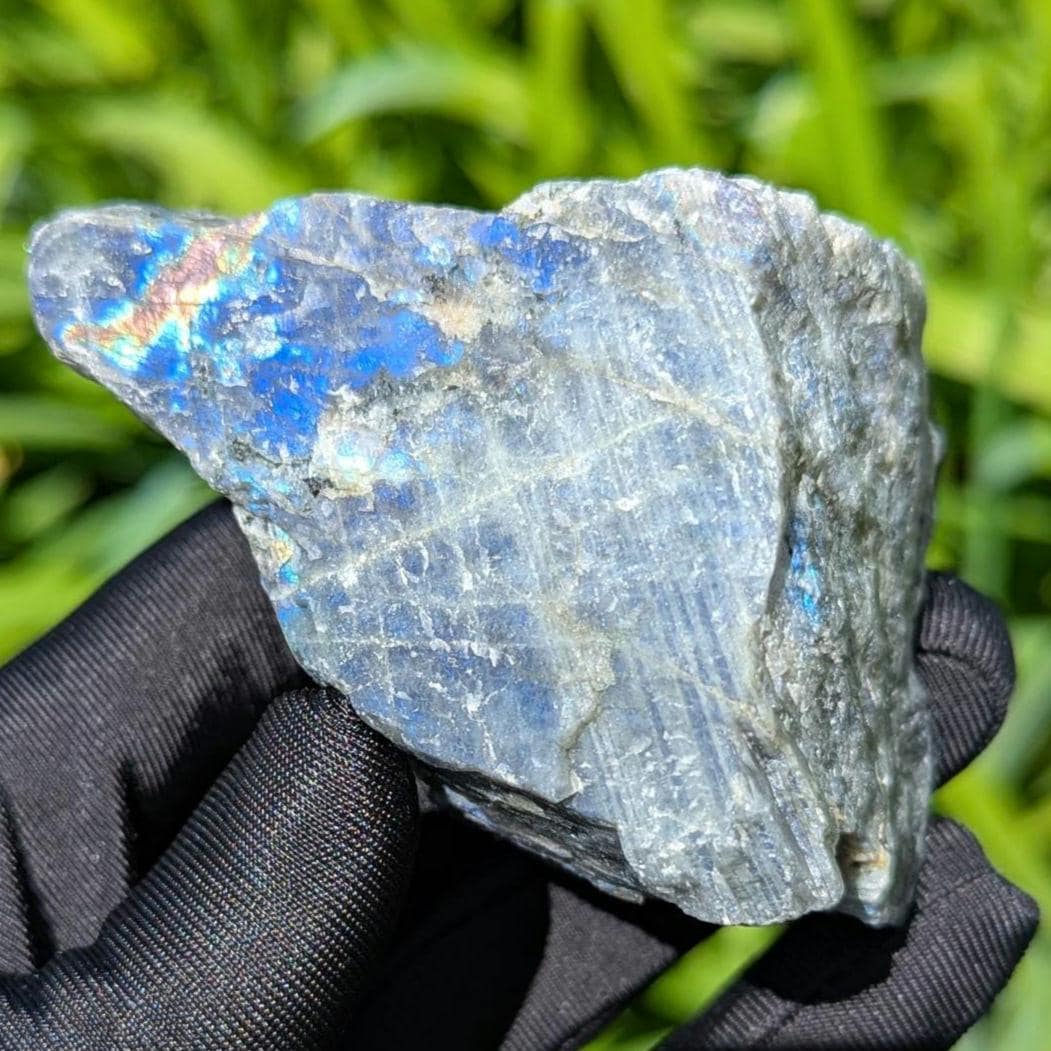 262g Blue Flash Canadian Labradorite - Tabor Island, Nain, Labrador, Canada - Rough Specimen - The Original Labradorite